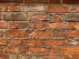 Bricks